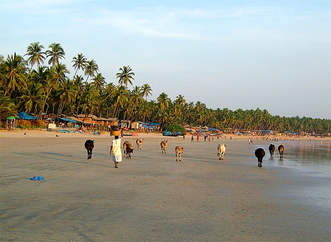 palolem003[1]
