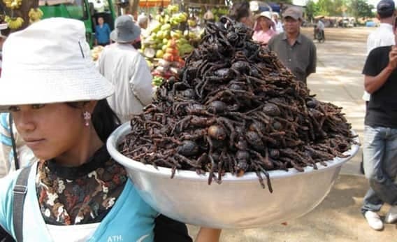 15 отвратительных блюд со всего мира, которые кажутся кому-то вкусными