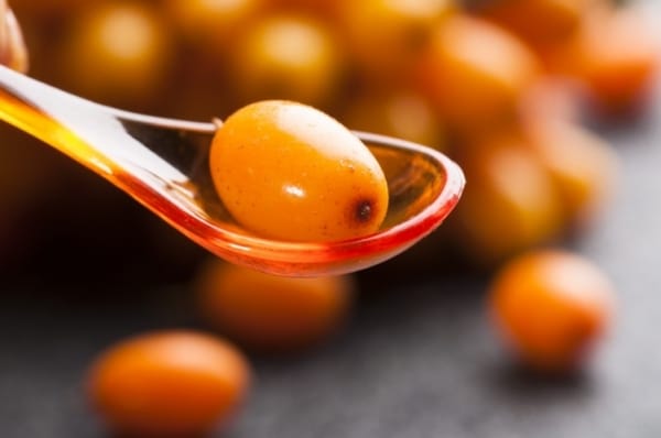 Как правильно кушать облепиху: 5 опасных свойств полезных ягод