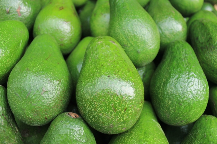 Интересные факты об авокадо