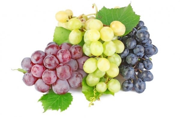 Виноград: польза и правила выбора