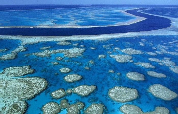 Большой Барьерный риф готов раскрыть свои тайны не только дайверам