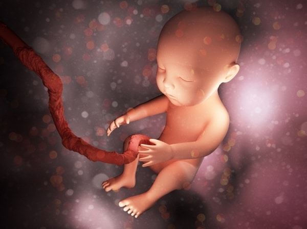 Изучают личные границы: ученые выяснили почему дети толкаются в утробе 