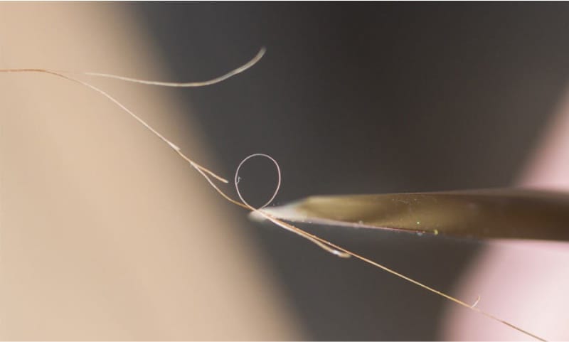 Как правильно точить ножи