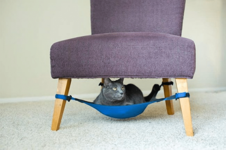 Что делать, если разбился ртутный градусник