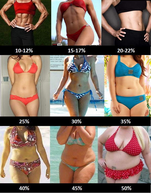 Как определить процент жира у себя в организме