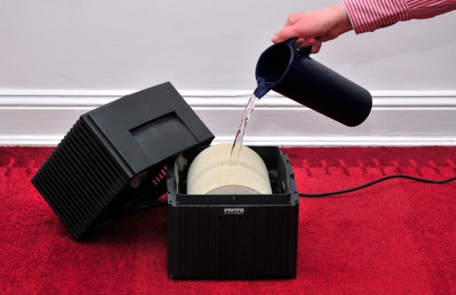 Как увлажнитель воздуха может спровоцировать грибок