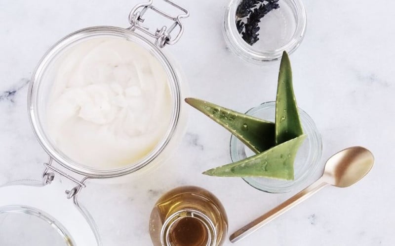 5 главных причин, почему весь мир обожает алоэ