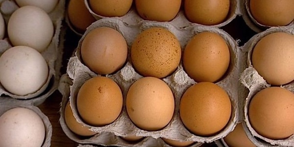 В чем разница между белыми и коричневыми яйцами?