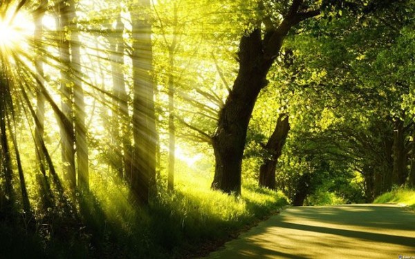 10 простых способов повысить ваши умственные способности