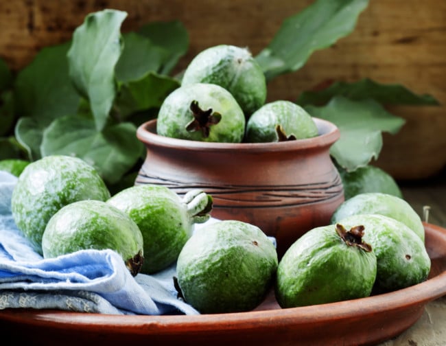 Фейхоа: польза и вред экзотического фрукта для здоровья