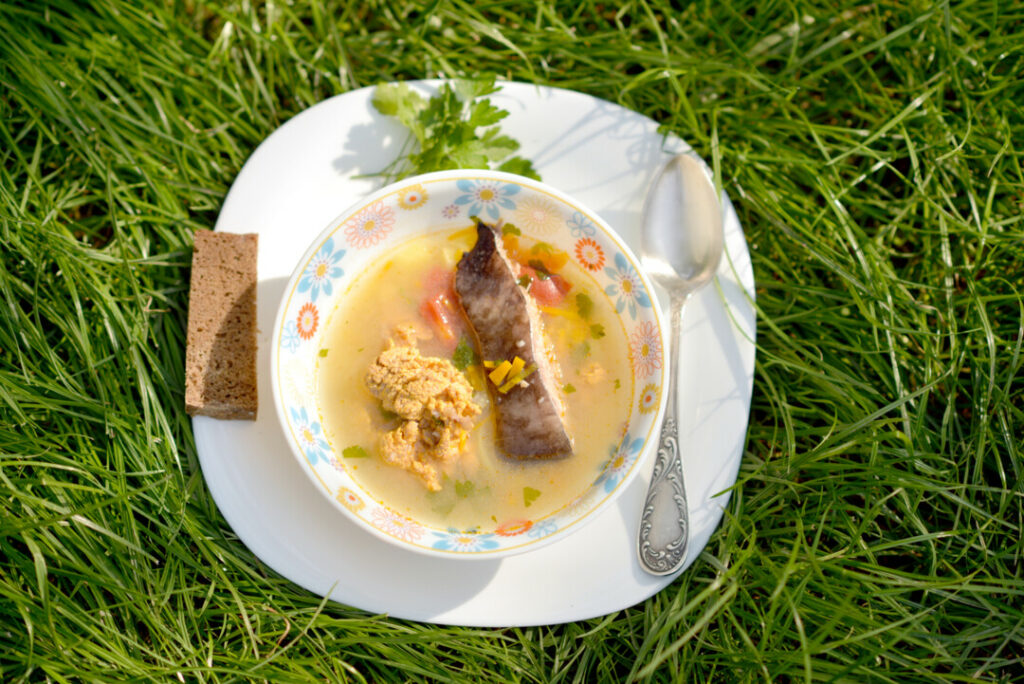 Как приготовить уху из рыбы на костре - пошаговые рецепты ухи