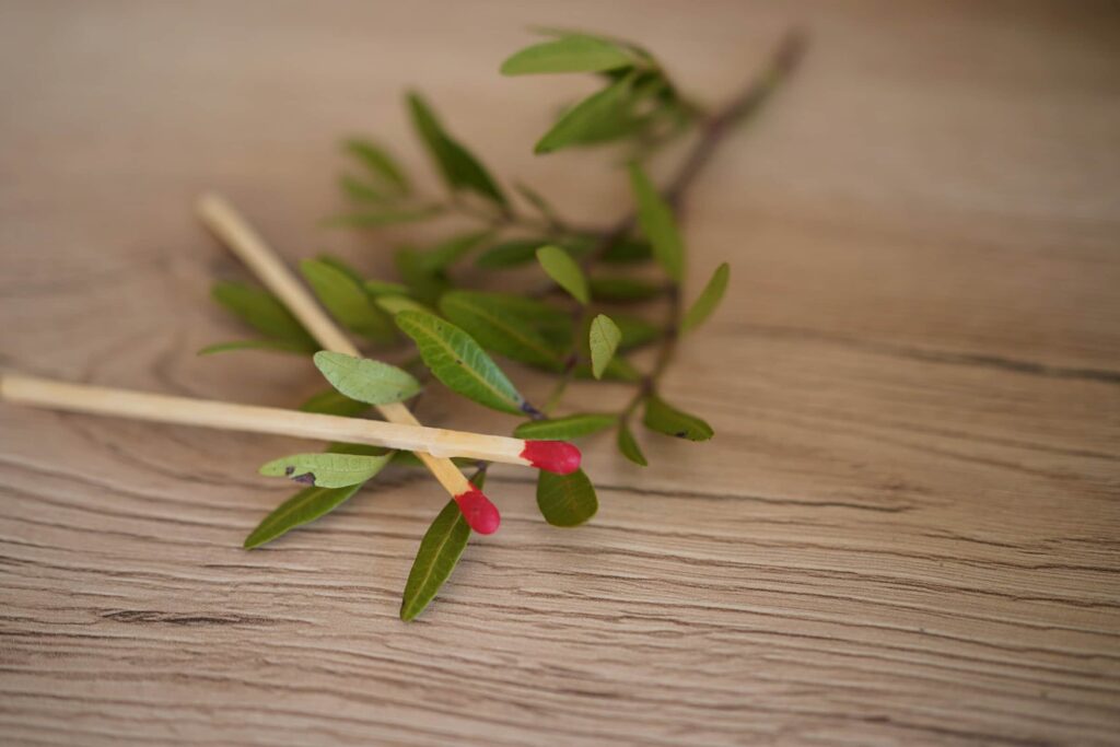 День летнего солнцестояния: интересные гадания на любовь и судьбу